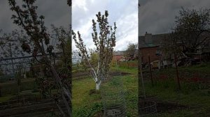 02. 05.2026 год.