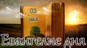 Апостол, Евангелие и Святые дня. Неделя 4-я по Пасхе, о расслабленном. (03.05.26)