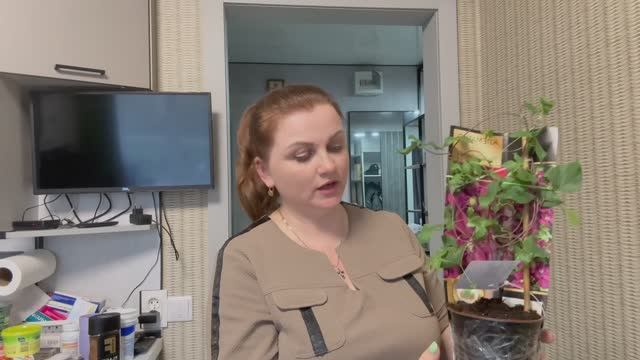 Рубрика:«что купила!!!»РАСПАКОВКА.Цветов много не бывает 🤷♀️
