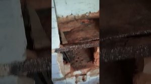 1000049870.mp4