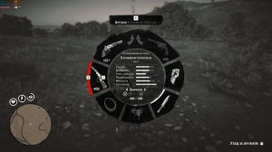 RDR2