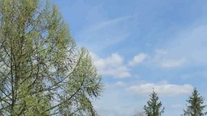 На май у меня большие планы)