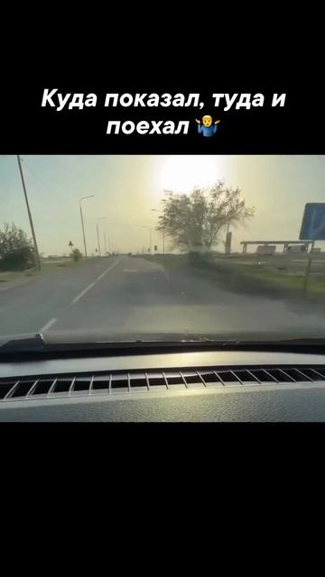 Куда указал, туда и поехал