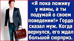 Я пока поживу у мамы, а ты подумай о своем поведении. Гордо сказал муж. Жизненные рассказы