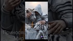 Приносящий мир