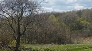 Начало мая