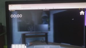 Играю в 5 ночей с котами 1 ночь 2 ночь 3 ночь (1часть)