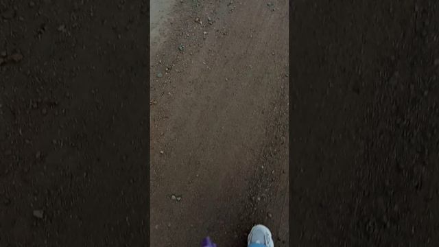 1000018401.mp4 смотреть онлайн