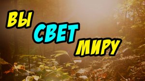 Вы свет миру - Василий Савич. Христианские проповеди