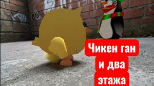 SVID_20260502_132234_1.mp4