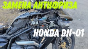 Замена антифриза на мотоцикле Honda DN-01