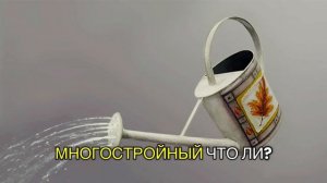 Фильм семейный: Хоттабыч.