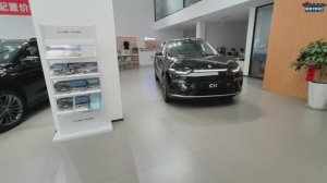 Leapmotor C11 - 2026 г.