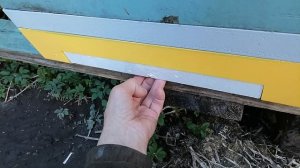 2 мая начинаю собирать пыльцу.