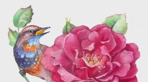 Розы и дикие птицы 🌹 Процесс создания акварельной картины [от начала до конца]