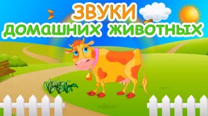 ЗВУКИ ЖИВОТНЫХ для САМЫХ МАЛЕНЬКИХ | Домашние животные для детей
