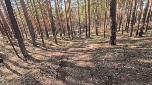 Катаем первые трейлы в этом сезоне в байк парке Калиновки 17.04.26
