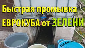 Быстрая промывка ЕВРОКУБА от зелени