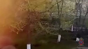 Житель Волгоградской области украл гигантский кулич из пасхальной инсталляции. 

Объяснить, зачем ем