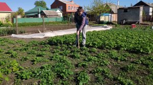 ЖИЗНЬ В СТАНИЦЕ./ Много мусора, переделали кучу дел.