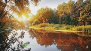 Я - не река, что течёт по чужим берегам. Автор Эдуард Чернавских