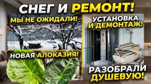 Такого я не ожидала...Снег❄️Успела купить Алоказию!Прощай, старая душевая! 🔨