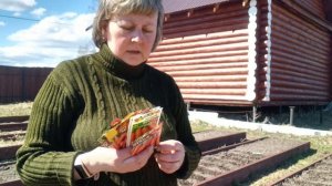 Дела огородные. Сею морковь и капусту.