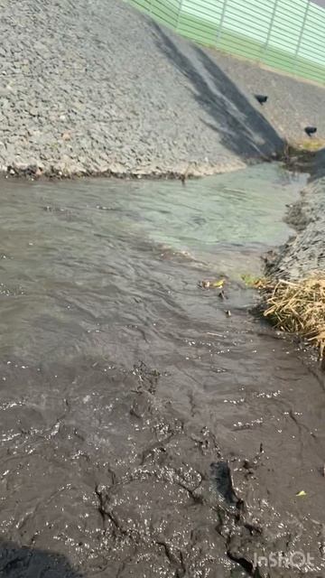 Я в свои Майские решил прокатиться на квадроцикле в лес! 🌳 вы как проводите свои майские выходные?