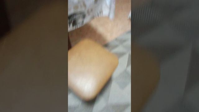 1000053617.mp4