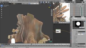 6 texturing off camera regions