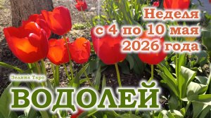 ВОДОЛЕЙ | ТАРО прогноз на неделю с 4 по 10 мая 2026 года