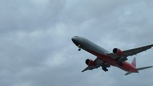 Boeing 777-300 Россия в Шереметьево