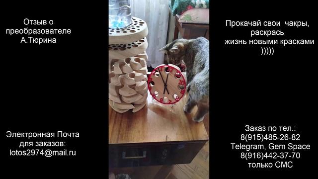 Отзыв о вихревом преобразователе А.Тюрина из Натурального дерева )