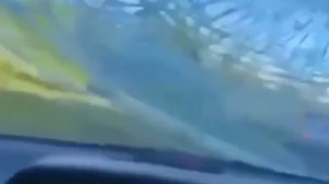Бегущая лошадь протаранила лобовое стекло автомобиля Mercedes. 

ДТП случилось в Великобритании, пиш