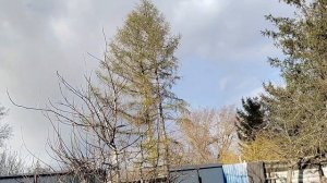 Не доброе утро ,и не добрый день 01-05-2026