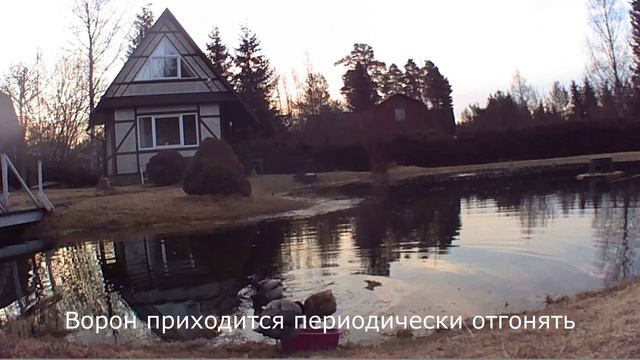 Фотоловушка.