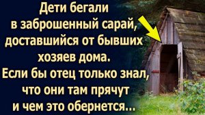 Дети бегали каждый день в сарай, если бы отец только знал, что они там…