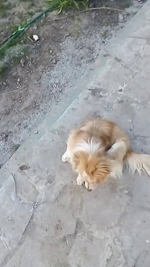 ....