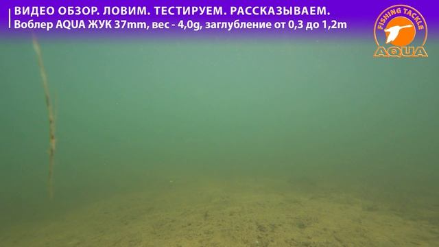 🎣🐟 Гид по рыбалке: воблер AQUA Жук: полный обзор, тест и секреты проводки.