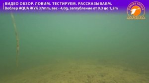 🎣🐟 Гид по рыбалке: воблер AQUA Жук: полный обзор, тест и секреты проводки.