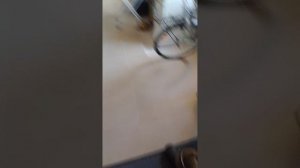 1000006070.mp4