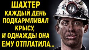Шахтер каждый день подкармливал крысу, и однажды…