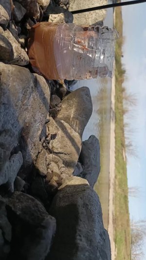 ловим рыбу на рыбалке