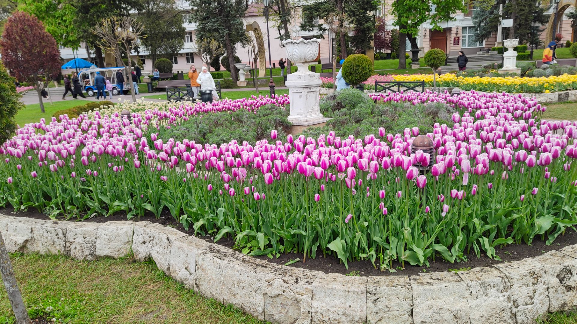 Парк Цветник в г. Пятигорске, любуемся цветущими тюльпанами 02.05.2026 г. Часть 1.