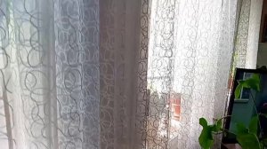 ЗЕЛЕНЫЙ УГОЛОК МОЕЙ МАМЫ
