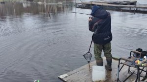 Светлые Горы Форель 02.05.2026г.