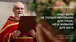 Надо быть не только мёртвыми для греха, но и живыми для Бога |11.04.26| священник Георгий Кочетков