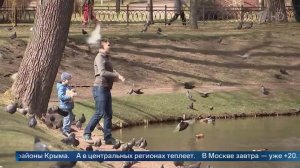 До 25 градусов тепла ожидается на следующей неделе в Москве.