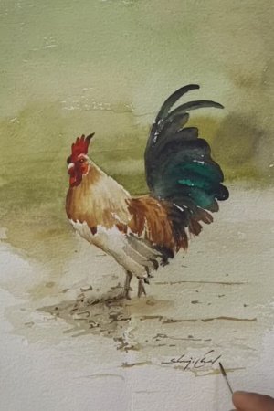 Акварельный рисунок петуха. Свободная зарисовка животного