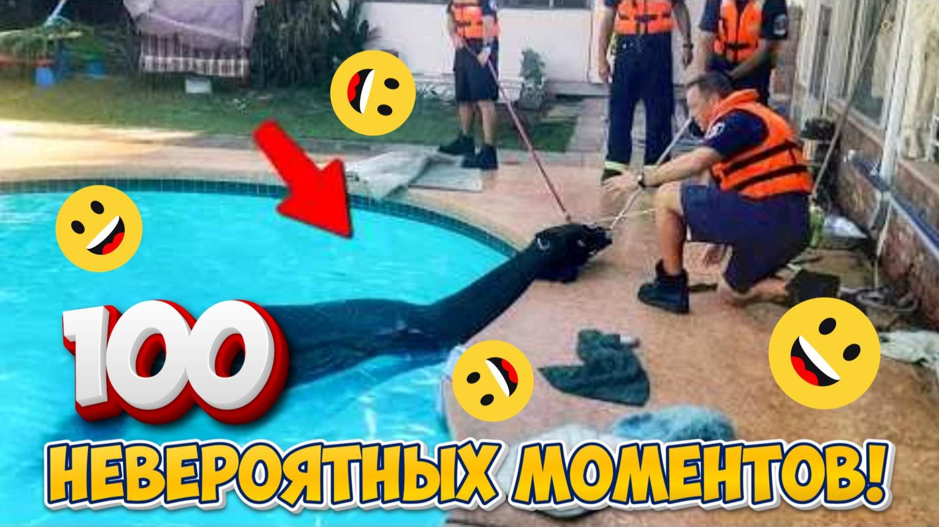 100 НЕВЕРОЯТНЫХ МОМЕНТОВ, СНЯТЫХ НА ЗАДНЕМ ДВОРЕ!